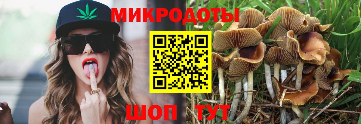 Псилоцибиновые грибы MAGIC MUSHROOMS Михайловск